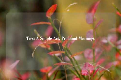 Toss: A Simple Act, Profound Meanings