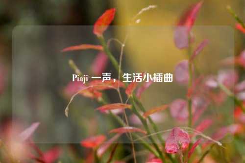 Piaji 一声，生活小插曲