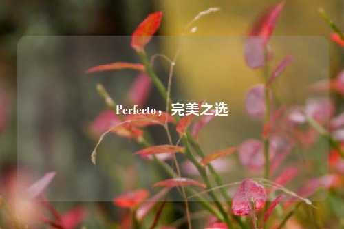 Perfecto，完美之选