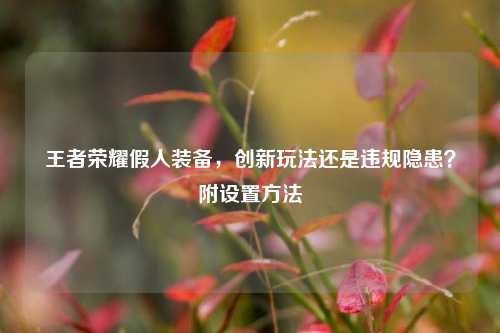 王者荣耀假人装备，创新玩法还是违规隐患？附设置方法