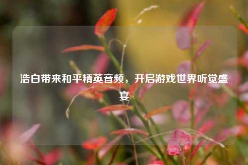 浩白带来和平精英音频，开启游戏世界听觉盛宴