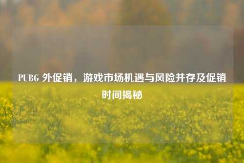 PUBG 外促销，游戏市场机遇与风险并存及促销时间揭秘