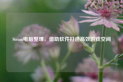 Steam电脑整理，借助软件打造高效游戏空间