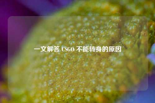 一文解答 CSGO 不能转身的原因