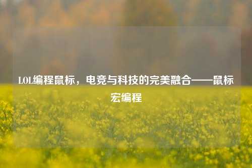 LOL编程鼠标，电竞与科技的完美融合——鼠标宏编程