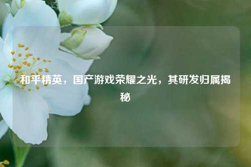 和平精英，国产游戏荣耀之光，其研发归属揭秘