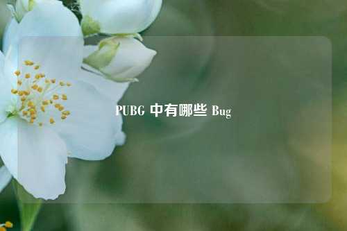 PUBG 中有哪些 Bug