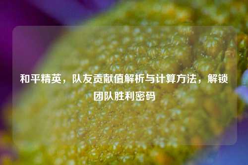 和平精英，队友贡献值解析与计算方法，解锁团队胜利密码