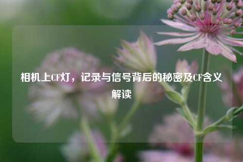 相机上CF灯，记录与信号背后的秘密及CF含义解读