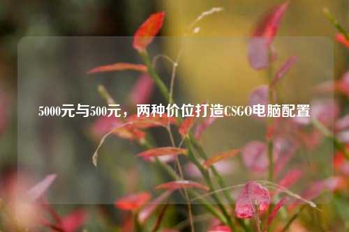 5000元与500元，两种价位打造CSGO电脑配置