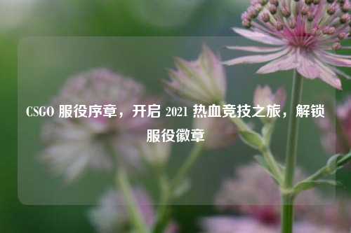 CSGO 服役序章，开启 2021 热血竞技之旅，解锁服役徽章