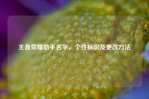 王者荣耀助手名字，个性标识及更改方法