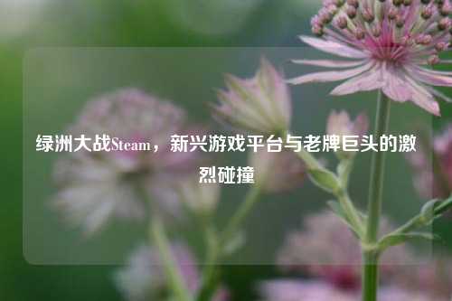 绿洲大战Steam，新兴游戏平台与老牌巨头的激烈碰撞