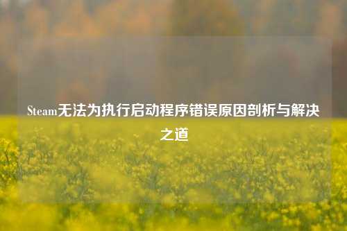 Steam无法为执行启动程序错误原因剖析与解决之道