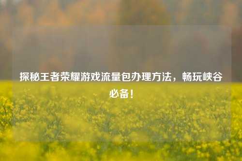探秘王者荣耀游戏流量包办理方法，畅玩峡谷必备！