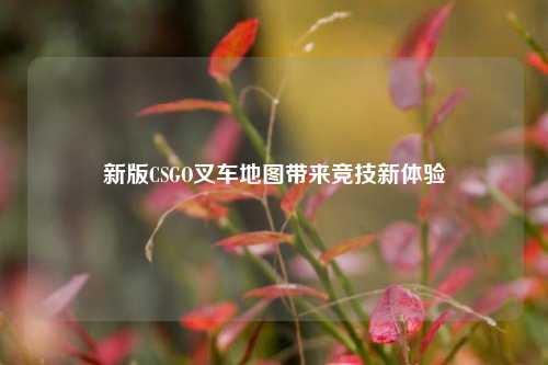 新版CSGO叉车地图带来竞技新体验