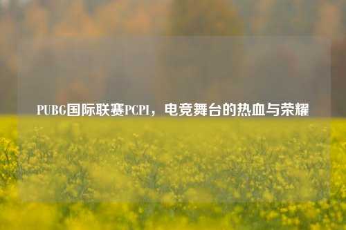 PUBG国际联赛PCPI，电竞舞台的热血与荣耀