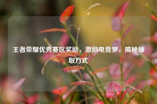 王者荣耀优秀赛区奖励，激励电竞梦，揭秘领取方式