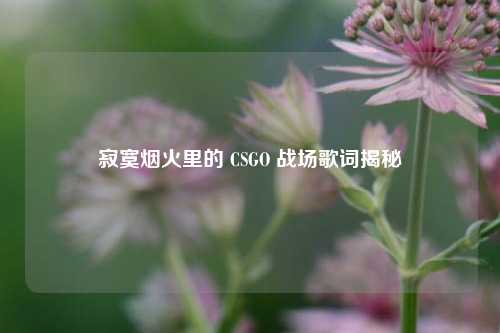 寂寞烟火里的 CSGO 战场歌词揭秘