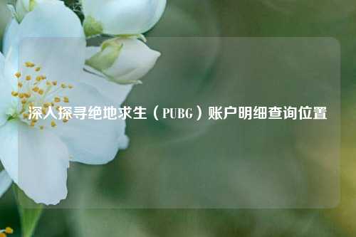 深入探寻绝地求生（PUBG）账户明细查询位置