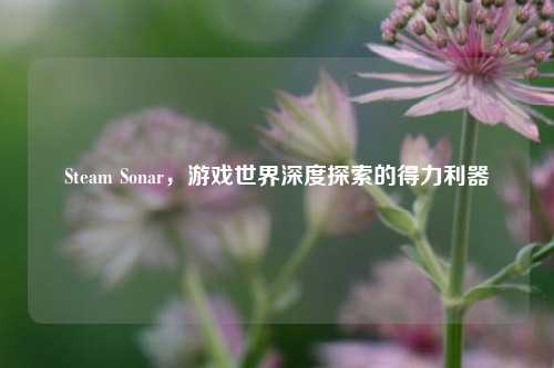 Steam Sonar，游戏世界深度探索的得力利器