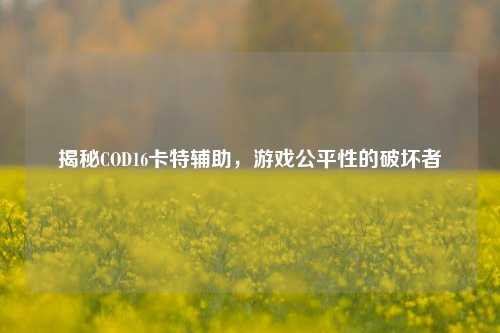 揭秘COD16卡特辅助，游戏公平性的破坏者