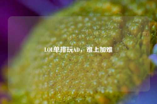LOL单排玩AD，难上加难