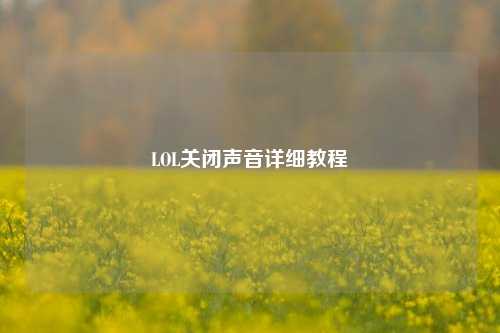 LOL关闭声音详细教程