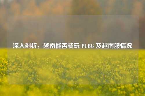 深入剖析，越南能否畅玩 PUBG 及越南服情况