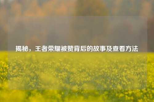 揭秘，王者荣耀被赞背后的故事及查看方法