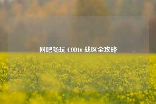 网吧畅玩 COD16 战区全攻略
