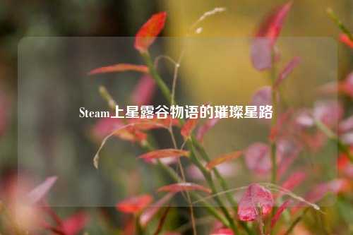 Steam上星露谷物语的璀璨星路