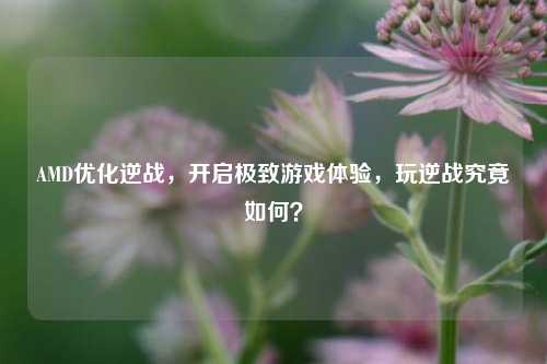 AMD优化逆战，开启极致游戏体验，玩逆战究竟如何？