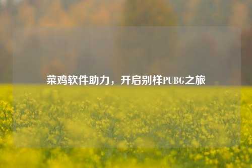 菜鸡软件助力，开启别样PUBG之旅