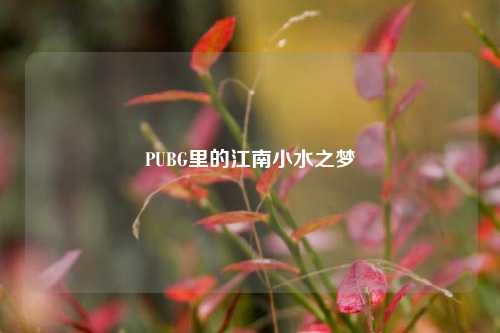 PUBG里的江南小水之梦