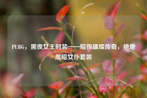 PUBG，黑夜女王时装——暗夜璀璨传奇，绝地黑暗女仆套装