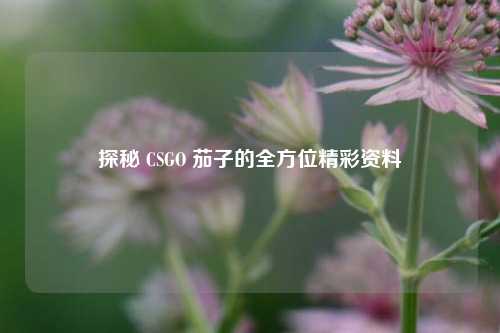 探秘 CSGO 茄子的全方位精彩资料