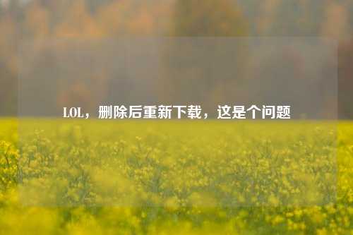 LOL，删除后重新下载，这是个问题