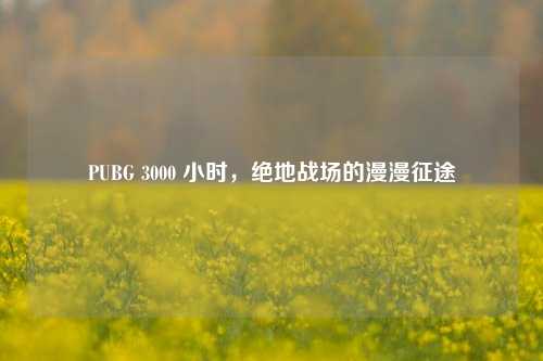 PUBG 3000 小时，绝地战场的漫漫征途