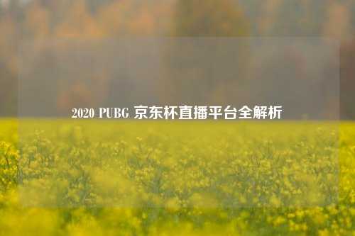 2020 PUBG 京东杯直播平台全解析