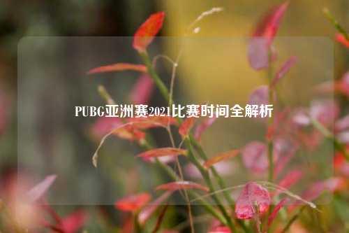 PUBG亚洲赛2021比赛时间全解析
