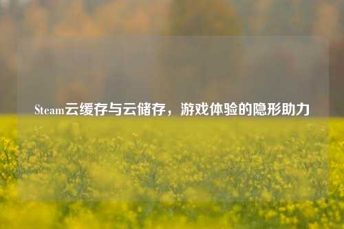 Steam云缓存与云储存，游戏体验的隐形助力