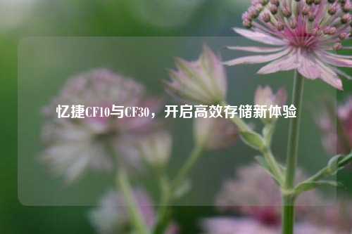 忆捷CF10与CF30，开启高效存储新体验