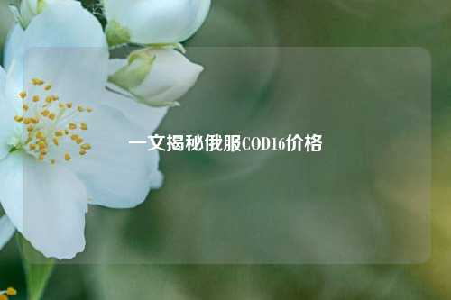 一文揭秘俄服COD16价格