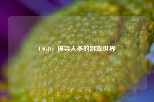 CSGO，探寻人多的游戏世界