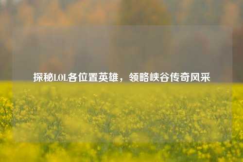 探秘LOL各位置英雄，领略峡谷传奇风采