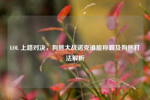 LOL 上路对决，狗熊大战诺克谁能称霸及狗熊打法解析