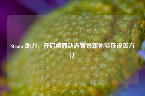 Steam 助力，开启桌面动态背景新体验及设置方法