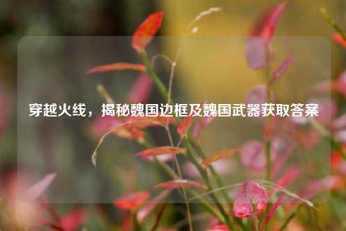 穿越火线，揭秘魏国边框及魏国武器获取答案