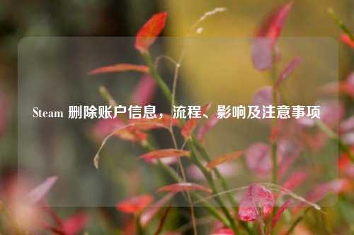 Steam 删除账户信息，流程、影响及注意事项